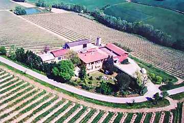 A top view of Tre Monti Winery