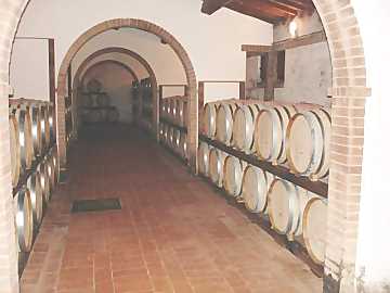 Casks and barriques are the containers
generally used for malolactic fermentation
