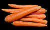 Le carote sono fra gli ortaggi pi utilizzati in cucina