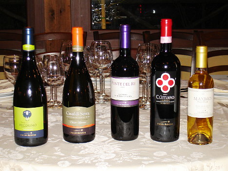 I cinque vini della Umani Ronchi degustati nel corso dell'evento