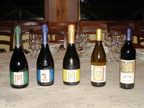 I cinque vini dell'Agricola Gatta degustati nel corso dell'evento