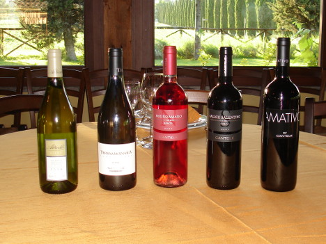 I cinque vini dell'Azienda Vinicola Cantele degustati nel corso dell'evento