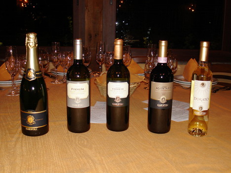 I cinque vini della Casa Vinicola Gioacchino Garofoli degustati nel corso dell'evento